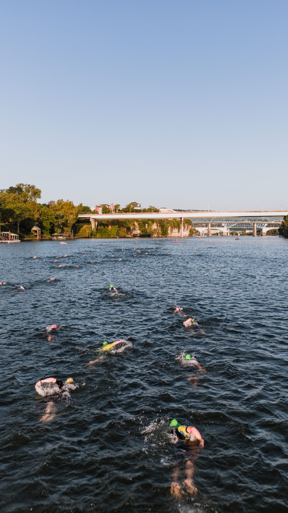 Openwaterzwemmers in een rivier tijdens een wedstrijd